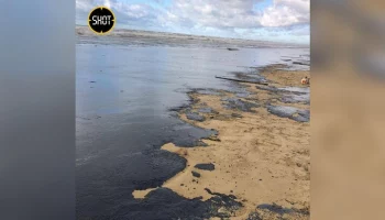 Очищающие побережье Анапы от мазута волонтеры рассказали о трудностях