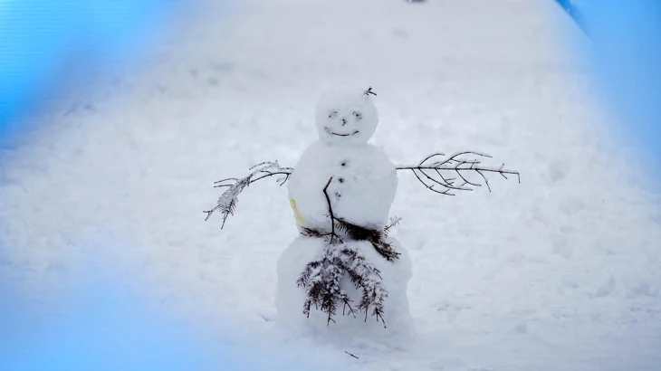 Синоптик Макарова: Снежный покров в Москве вырастет на 15-20 сантиметров Синоптик Макарова: Снежный покров в Москве вырастет на 15-20 сантиметров