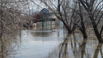 Паводок начинает частично подтапливать правобережную часть Кургана