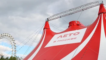 Как поддержка города знакомит людей с новыми товарами и услугами