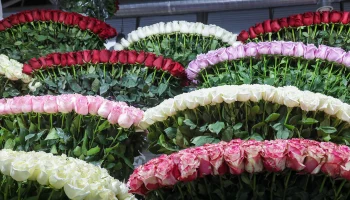 Активисты &laquo;Единой России&raquo; 8 марта подарили женщинам ЦАО более 1000 цветов