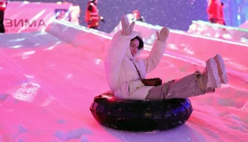 Фестиваль "Московские сани" пройдет в столице 14&ndash;22 февраля