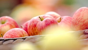 Замруководителя Россельхознадзора: роста цен на яблоки не ожидается