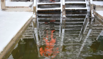 Роспотребнадзор Москвы проверил качество воды в 41 купели