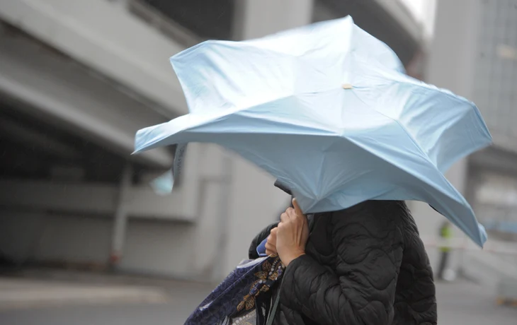 Синоптик Шувалов счел прогноз о «девятибалльном шторме» в Москве преувеличением Синоптик Шувалов счел прогноз о «девятибалльном шторме» в Москве преувеличением