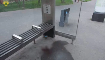 Задержан мужчина, ранивший женщину ножом в шею на юго-востоке Москвы