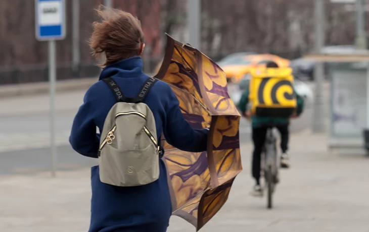 Москвичей предупредили о сильных порывах ветра 21 апреля