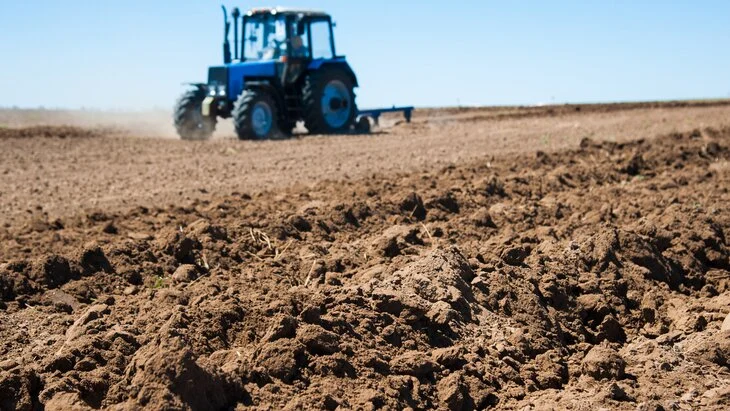 Минсельхоз заявил о гибели 100 тыс га посевов из-за плохой погоды