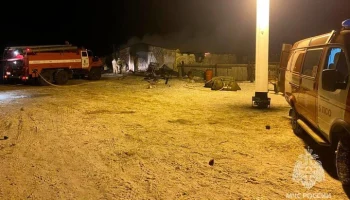 Сорок овец и 50 коров погибли в пожаре на ферме в Оренбуржье