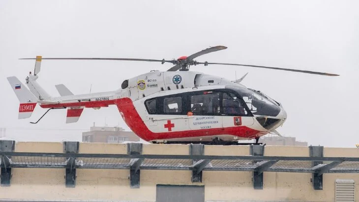 Мальчик, искусанный в Сочи собаками, перевезен в Москву