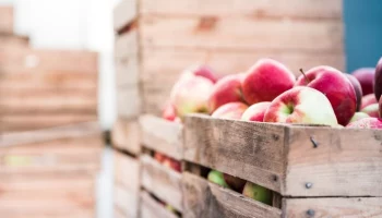 В РФ могут ввести таможенные льготы на импорт яблок и картофеля