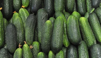 Россия увеличила импорт огурцов на 18,3% с начала года