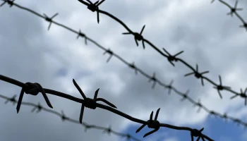 Суд арестовал мужчину, присвоившего себе участки за 18 миллионов в Мытищах Суд арестовал мужчину, присвоившего себе участки за 18 миллионов в Мытищах