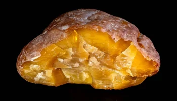 Янтарь весом 2,37 килограмма добыли в Калининградской области