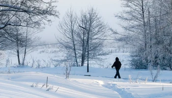 Синоптики сообщили о морозной и ветреной погоде в Москве 8 февраля