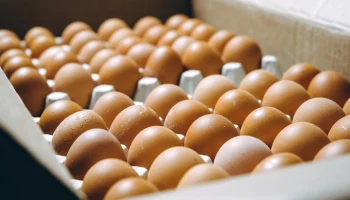 Минсельхоз предложил зафиксировать в РФ цену на яйца