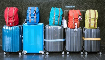 Эксперт Уильямс рассказала, как защитить свой багаж во время путешествий