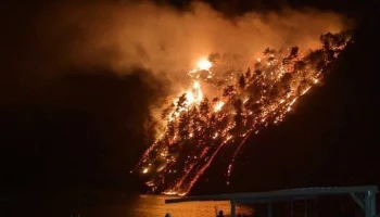 Базы отдыха эвакуируют из-за пожара в Туапсинском районе Краснодарского края