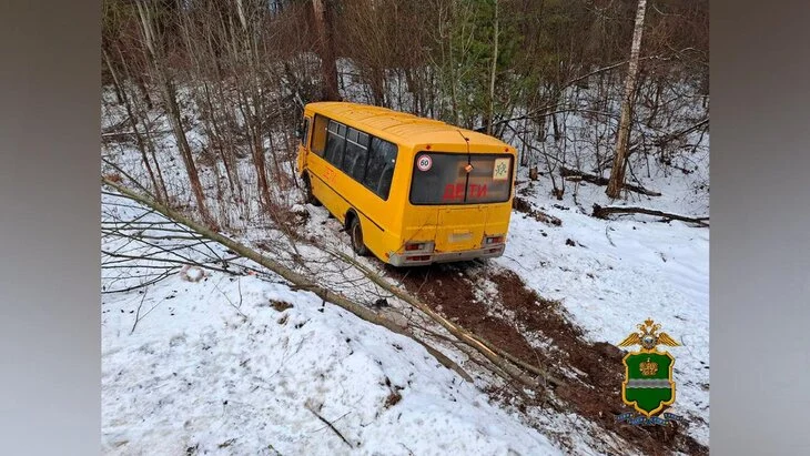 Автобус со школьниками съехал в кювет после ДТП под Калугой