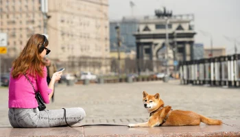 Синоптик Шувалов рассказал о погоде в Москве на ближайшую неделю