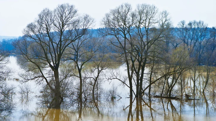 Синоптик Леус рассказал, какие столичные водоемы скоро выйдут из берегов Синоптик Леус рассказал, какие столичные водоемы скоро выйдут из берегов