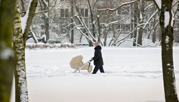 Синоптики сообщили о морозной погоде без осадков в Москве 16 января