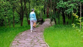 Дикая природа рядом: почему важно не сходить с тропинок в лесу