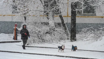 Синоптики предупредили жителей столицы о снеге 28 декабря