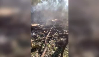 Очевидец рассказала о моменте крушения самолета в Подмосковье