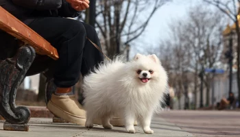 Метеоролог Позднякова рассказала, как изменится погода в Москве к выходным