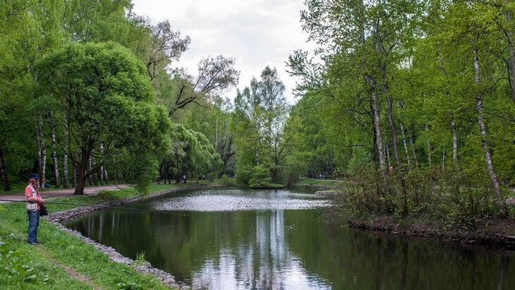 В парке "Сокольники" началась реабилитация пяти Оленьих прудов