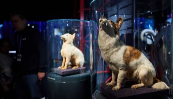 Москвичам рассказали, как столица встретит День космонавтики