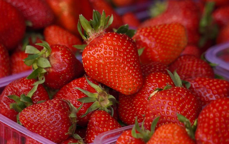 Как ухаживать за клубникой, чтобы собрать хороший урожай Как ухаживать за клубникой, чтобы собрать хороший урожай