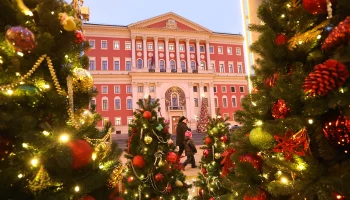 Мясо, кукуруза и горошек: как торговые сети Москвы готовятся к Новому году