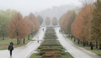 МЧС предупредило о тумане в Москве до утра 22 октября