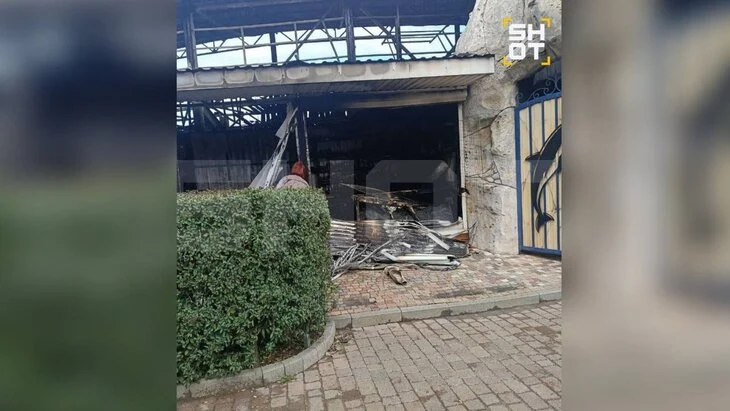 29 животных погибли при пожаре на крокодиловой ферме в Ейске 29 животных погибли при пожаре на крокодиловой ферме в Ейске