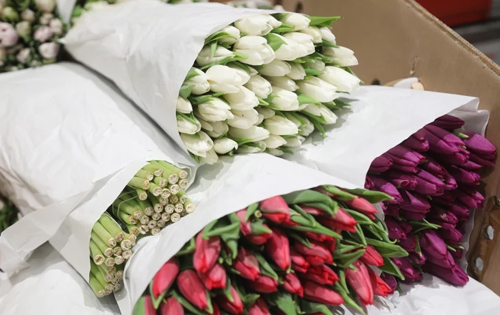 Флорист Старостина рассказала, как сэкономить на букете к 14 февраля Флорист Старостина рассказала, как сэкономить на букете к 14 февраля