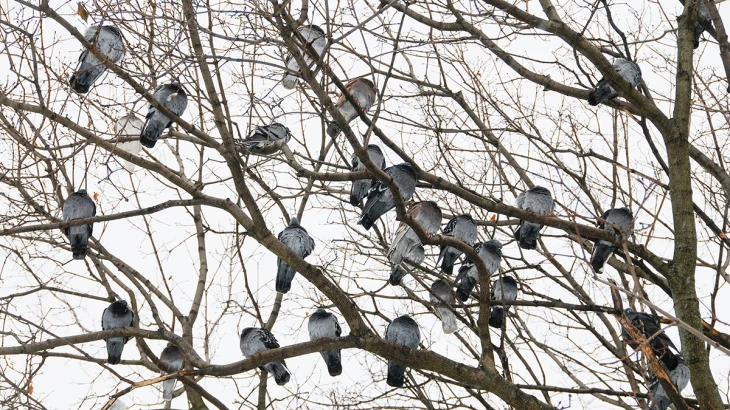 Метеоролог Позднякова предупредила о похолодании в Москве Метеоролог Позднякова предупредила о похолодании в Москве