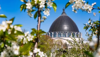 На ВДНХ приступили к подготовке деревьев и кустарников к летнему сезону