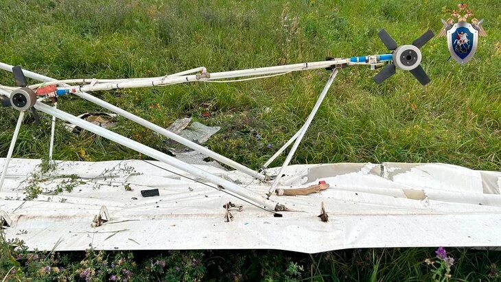 СК подтвердил гибель пилота при крушении самолета в Рязанской области СК подтвердил гибель пилота при крушении самолета в Рязанской области