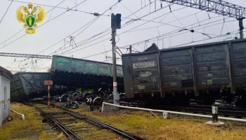 Вагоны грузового поезда сошли с рельсов в Курганской области