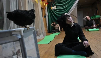 И курицу научат. Где проводят занятия по йоге с животными