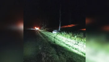 Два человека погибли в ДТП с лосем в Новосибирской области