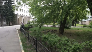 В НПЦ им. Соловьева отреагировали на получение статуса Сотрудничающего центра ВОЗ