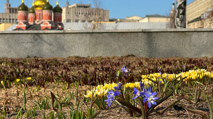 Синоптики сообщили о теплой и сухой погоде в Москве 21 марта Синоптики сообщили о теплой и сухой погоде в Москве 21 марта