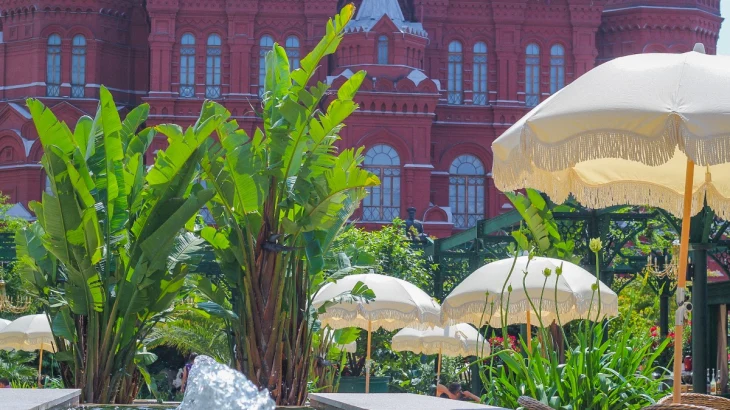 Сергунина: «Фестиваль культуры Вьетнама» стартует в Москве 25 июля Сергунина: «Фестиваль культуры Вьетнама» стартует в Москве 25 июля