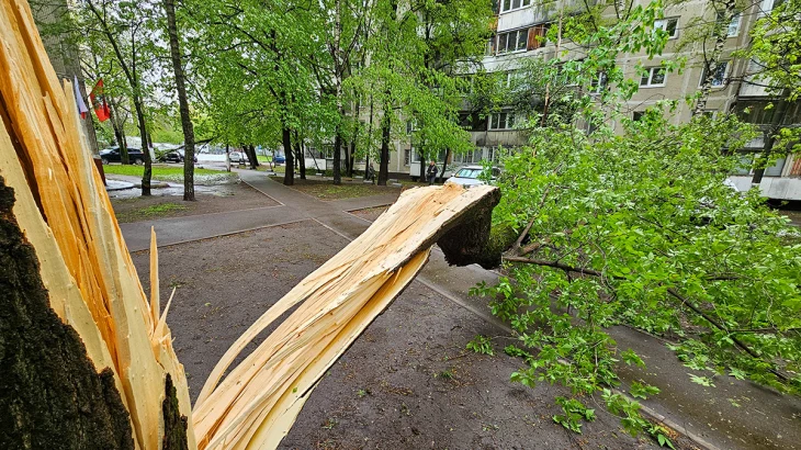 Ураган вырвал с корнем вековые деревья в парке Санкт-Петербурга Ураган вырвал с корнем вековые деревья в парке Санкт-Петербурга