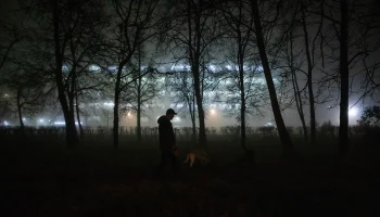 МЧС: Туман ожидается в Подмосковье в ночь на 18 ноября