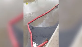 Прокуратура начала проверку по факту загрязнения реки Яузы у Лефортовского моста