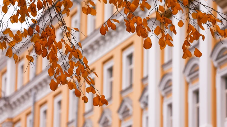 Синоптик Ильин рассказал о погоде в Московском регионе на выходных Синоптик Ильин рассказал о погоде в Московском регионе на выходных